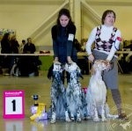 ВЫСТАВКИ - Мемориал Сабанеева 2012